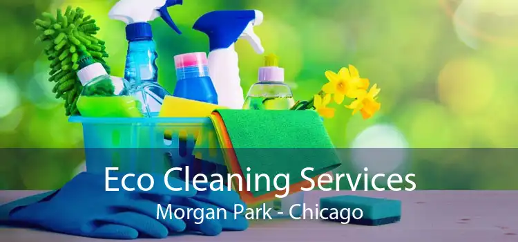 Eco Cleaning Services Morgan Park - Chicago