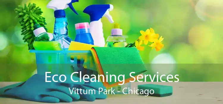 Eco Cleaning Services Vittum Park - Chicago