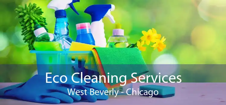 Eco Cleaning Services West Beverly - Chicago