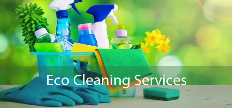 Eco Cleaning Services 