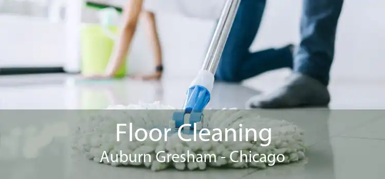 Floor Cleaning Auburn Gresham - Chicago