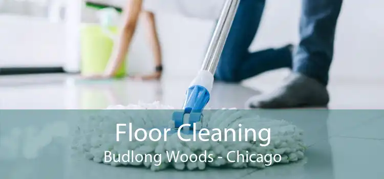 Floor Cleaning Budlong Woods - Chicago