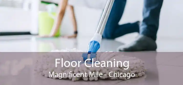 Floor Cleaning Magnificent Mile - Chicago