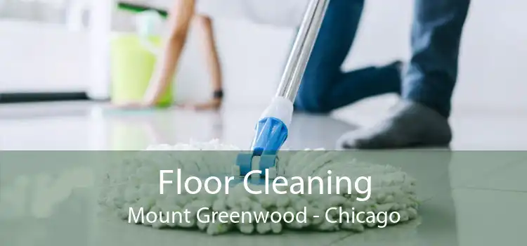 Floor Cleaning Mount Greenwood - Chicago