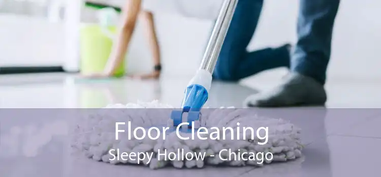Floor Cleaning Sleepy Hollow - Chicago