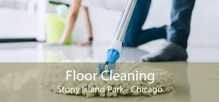 Floor Cleaning Stony Island Park - Chicago