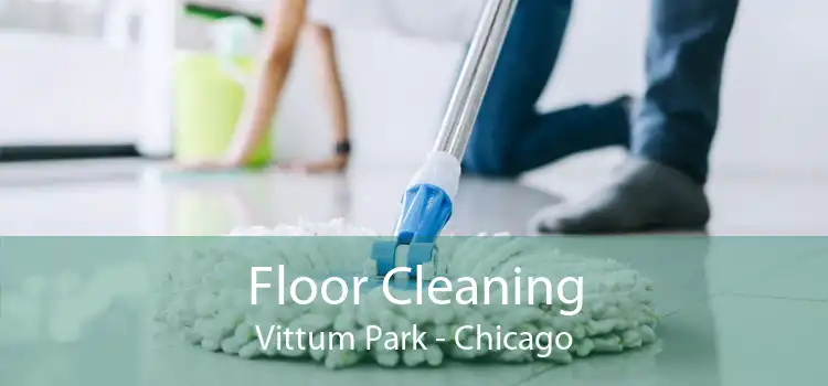 Floor Cleaning Vittum Park - Chicago