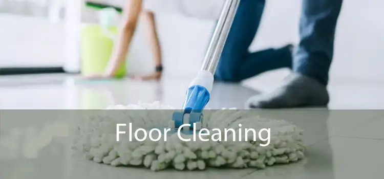 Floor Cleaning 