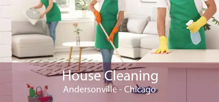 House Cleaning Andersonville - Chicago