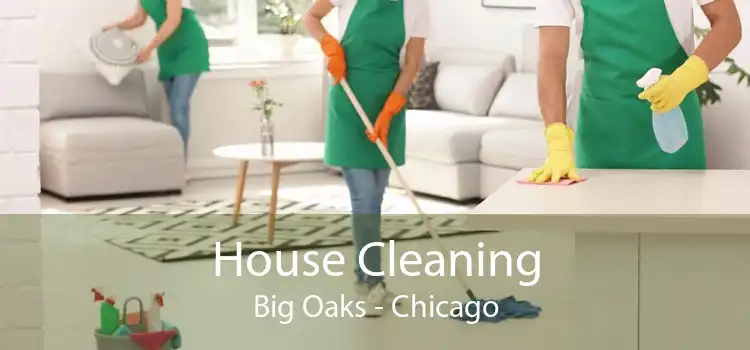 House Cleaning Big Oaks - Chicago