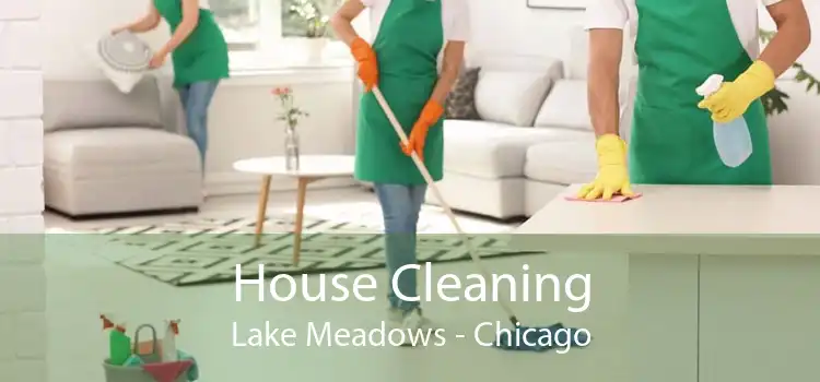 House Cleaning Lake Meadows - Chicago