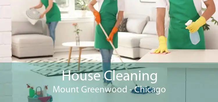 House Cleaning Mount Greenwood - Chicago
