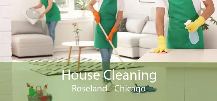 House Cleaning Roseland - Chicago