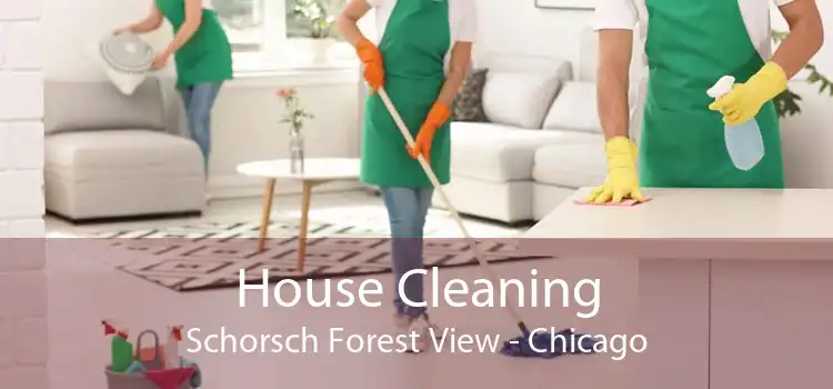 House Cleaning Schorsch Forest View - Chicago