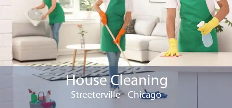 House Cleaning Streeterville - Chicago