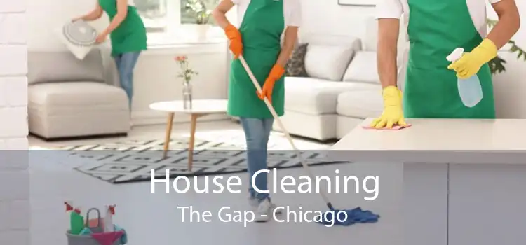 House Cleaning The Gap - Chicago