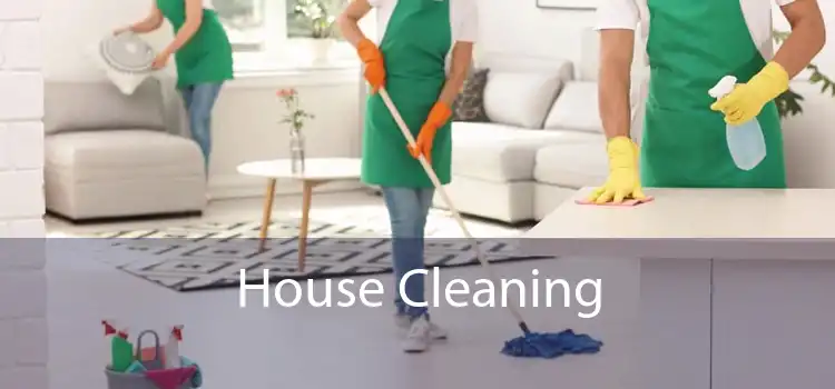 House Cleaning 