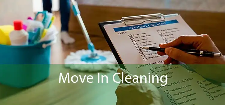 Move In Cleaning 