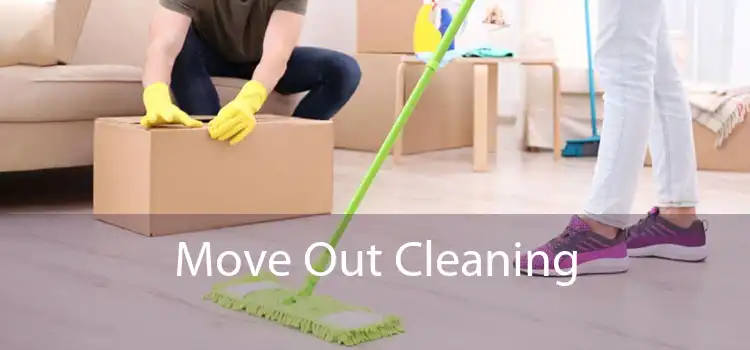 Move Out Cleaning 