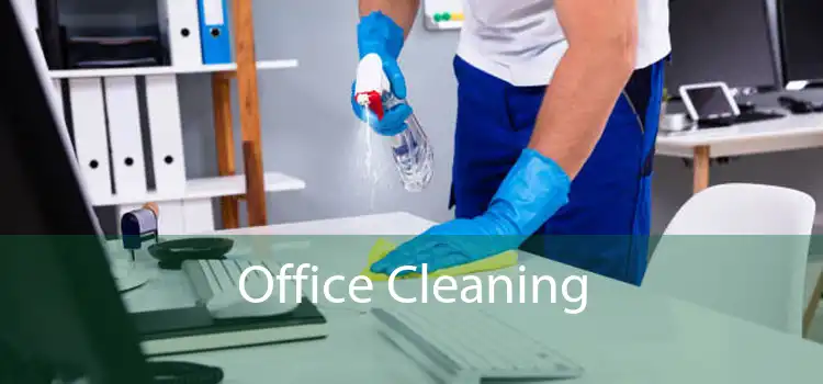 Office Cleaning 
