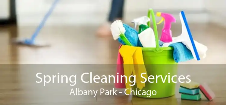 Spring Cleaning Services Albany Park - Chicago