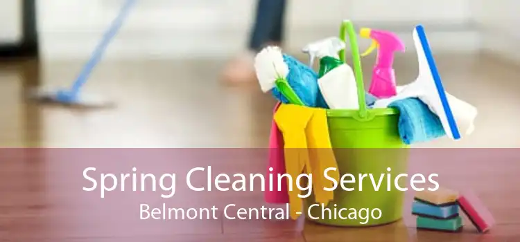 Spring Cleaning Services Belmont Central - Chicago