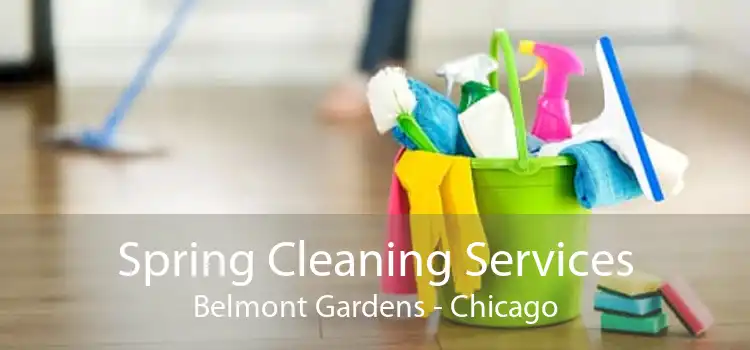 Spring Cleaning Services Belmont Gardens - Chicago