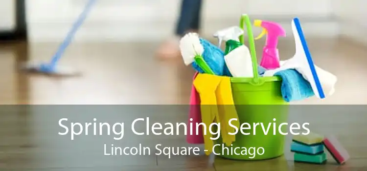 Spring Cleaning Services Lincoln Square - Chicago