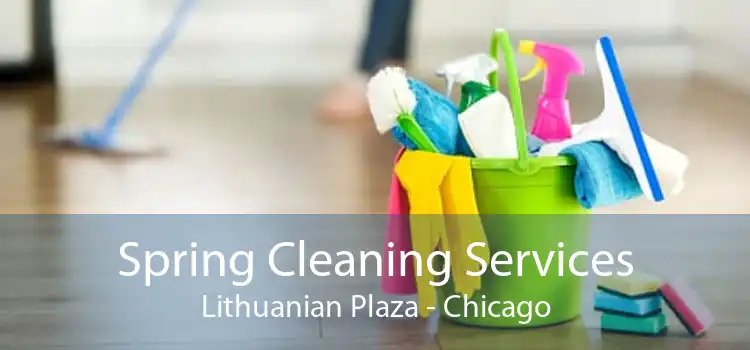 Spring Cleaning Services Lithuanian Plaza - Chicago