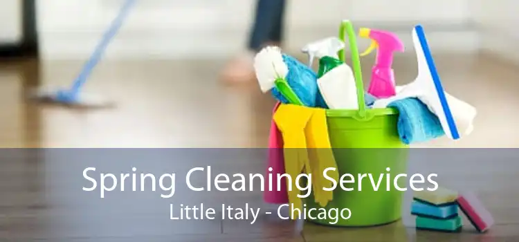 Spring Cleaning Services Little Italy - Chicago