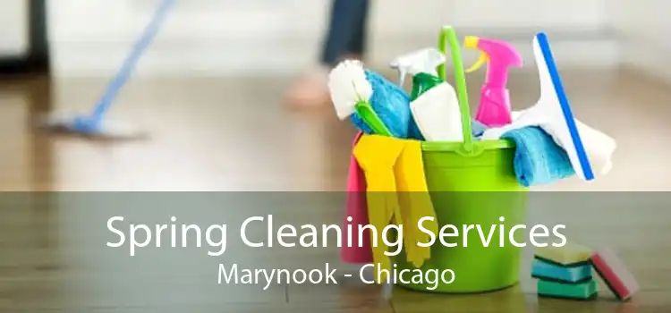 Spring Cleaning Services Marynook - Chicago