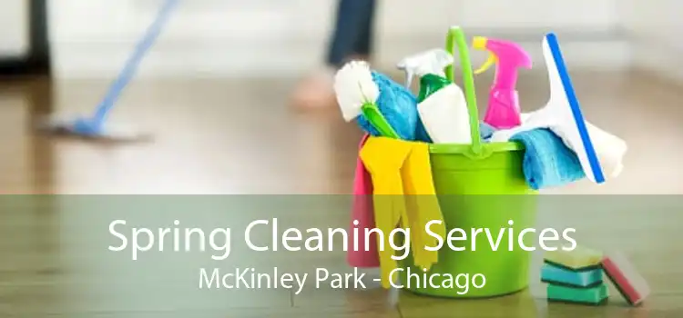 Spring Cleaning Services McKinley Park - Chicago