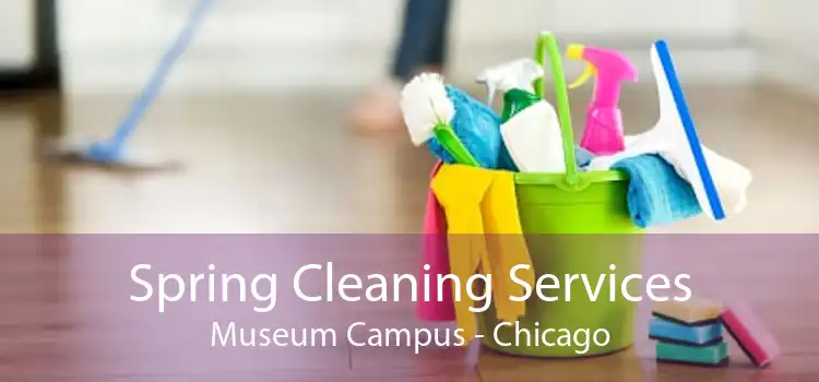 Spring Cleaning Services Museum Campus - Chicago