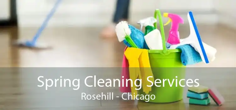 Spring Cleaning Services Rosehill - Chicago