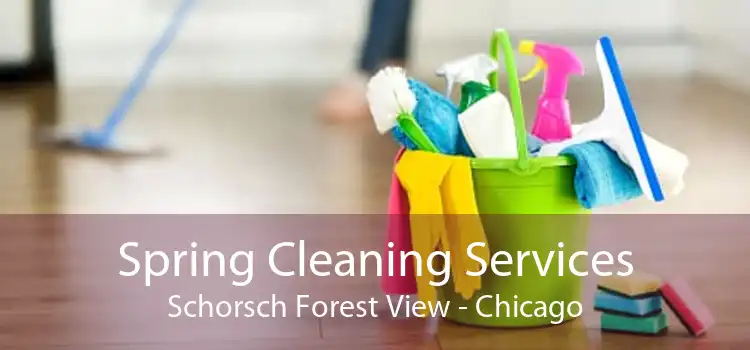 Spring Cleaning Services Schorsch Forest View - Chicago