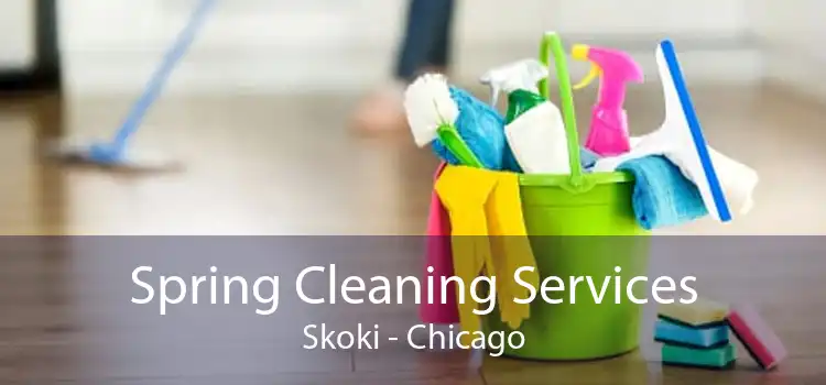 Spring Cleaning Services Skoki - Chicago
