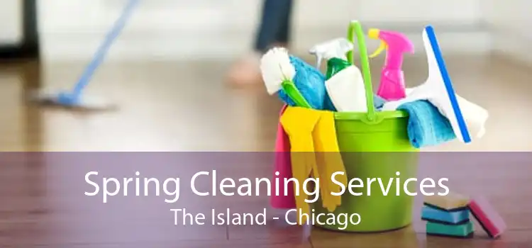 Spring Cleaning Services The Island - Chicago