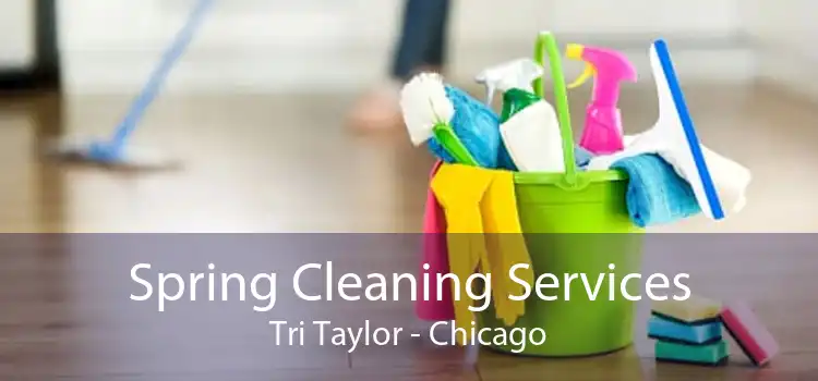 Spring Cleaning Services Tri Taylor - Chicago