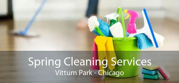 Spring Cleaning Services Vittum Park - Chicago