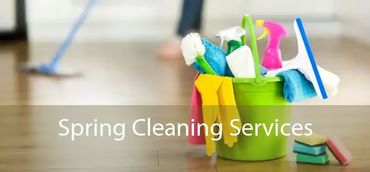 Spring Cleaning Services 