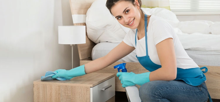 Deep Apartment Cleaning in University Village, Chicago