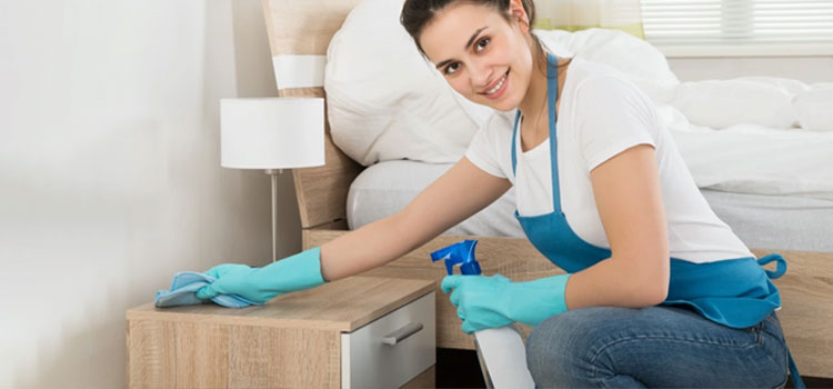 Deep Apartment Cleaning in Belmont Central, Chicago