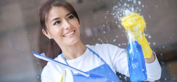 Eco Cleaning Services Near Me in Belmont Central, Chicago