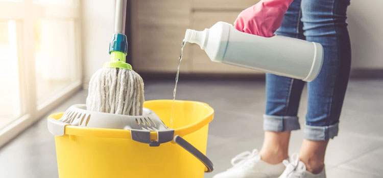 Exterior House Cleaning in Belmont Central, Chicago