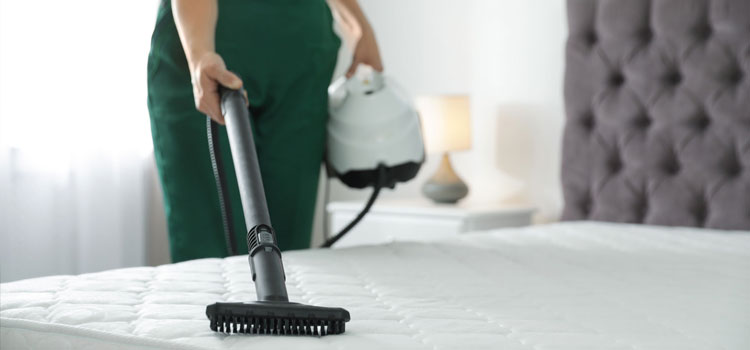 Master Bedroom Cleaning in West Chatham, Chicago