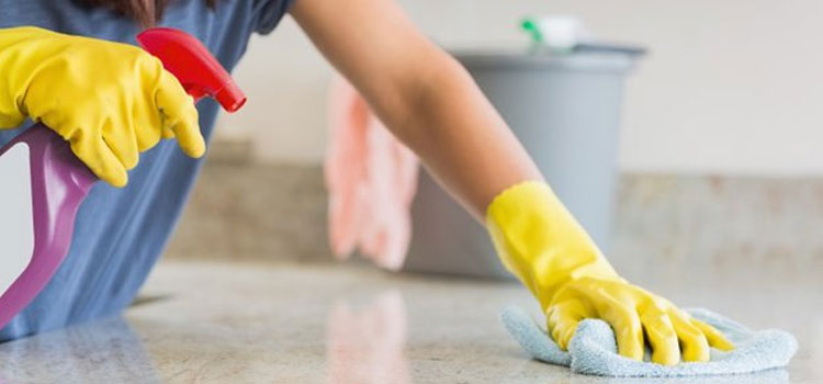 Move-In Deep Cleaning in Belmont Central, Chicago