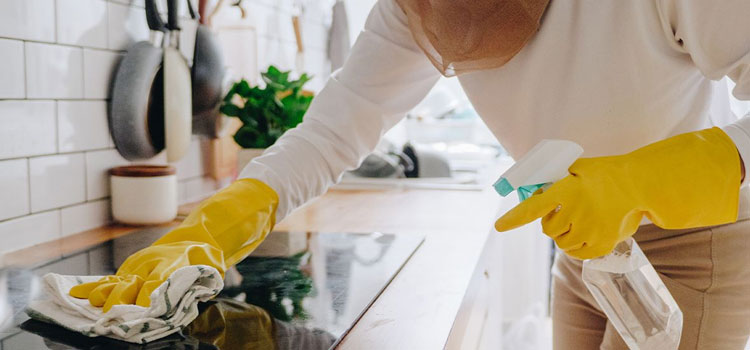Professional Eco Cleaning Services in Belmont Central, Chicago