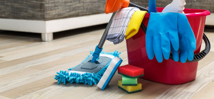Residential Spring Cleaning Services in Belmont Central, Chicago