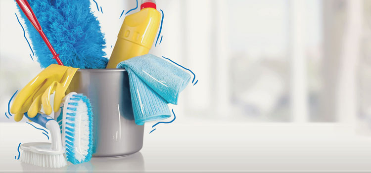Silver Spring Cleaning Services in Belmont Central, Chicago
